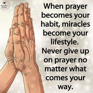 Meet your Posher, Warren